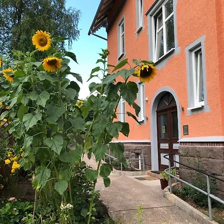 Moderne Am Thueringer Wald Perfekt Fuer Familien, Paare & Urlaub Mit Hund, Mit Sauna & Balkon 格奥尔根塔尔