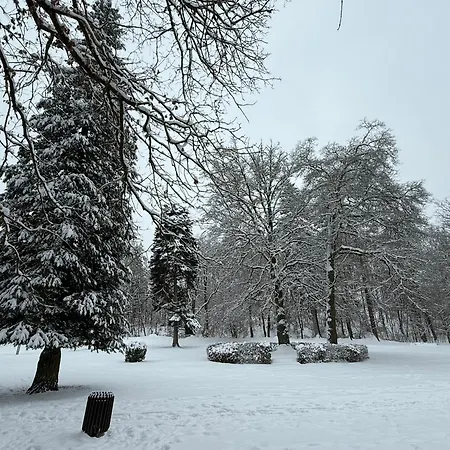 Daire Moderne In Alter *