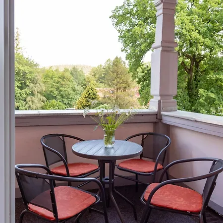 Daire Moderne Am Thueringer Wald Perfekt Fuer Familien, Paare & Urlaub Mit Hund, Mit Sauna & Balkon *