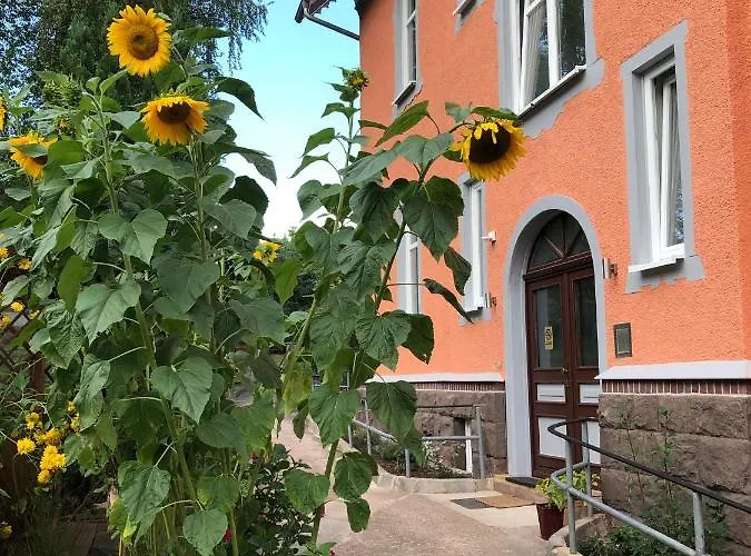 Moderne In Alter Georgenthal (Thuringia)