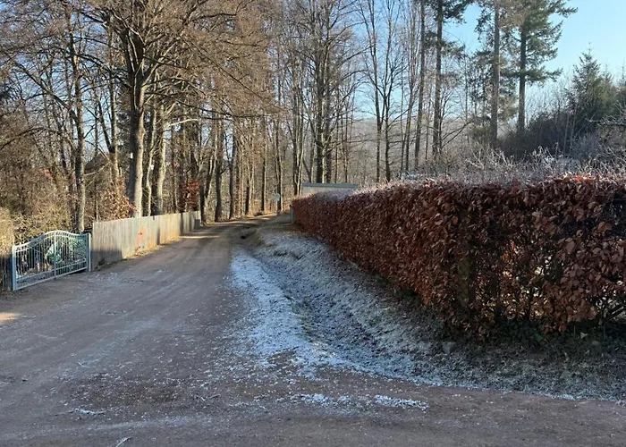 Moderne In Alter Daire *