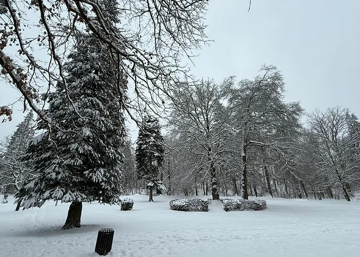 Апартаменты Moderne In Alter *